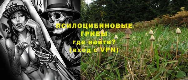 эйфоретик Пролетарск