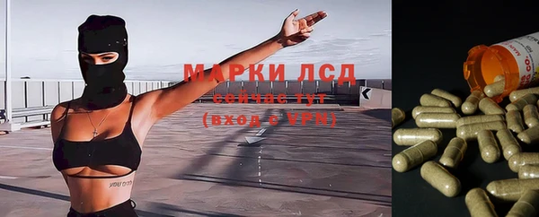 стафф Армянск