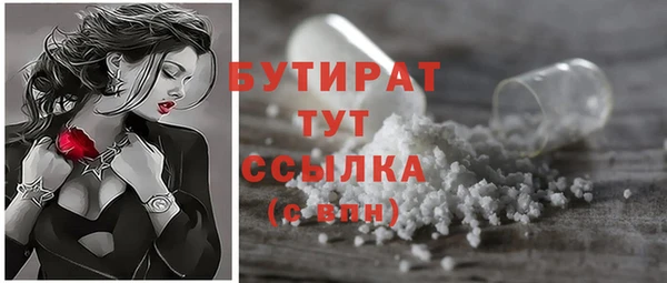 индика Протвино