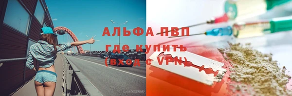 СК Аркадак