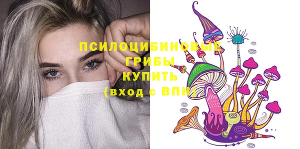 стафф Армянск