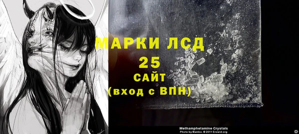 ГАЛЛЮЦИНОГЕННЫЕ ГРИБЫ Арсеньев