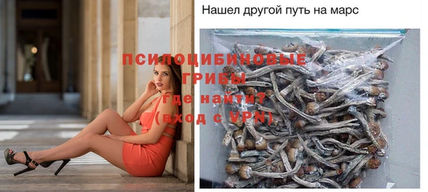 СК Аркадак