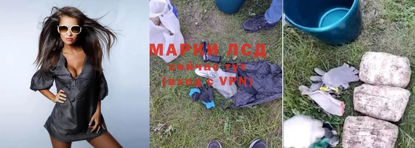 стафф Армянск