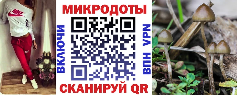наркошоп  Таштагол  блэк спрут ссылки  Псилоцибиновые грибы MAGIC MUSHROOMS 